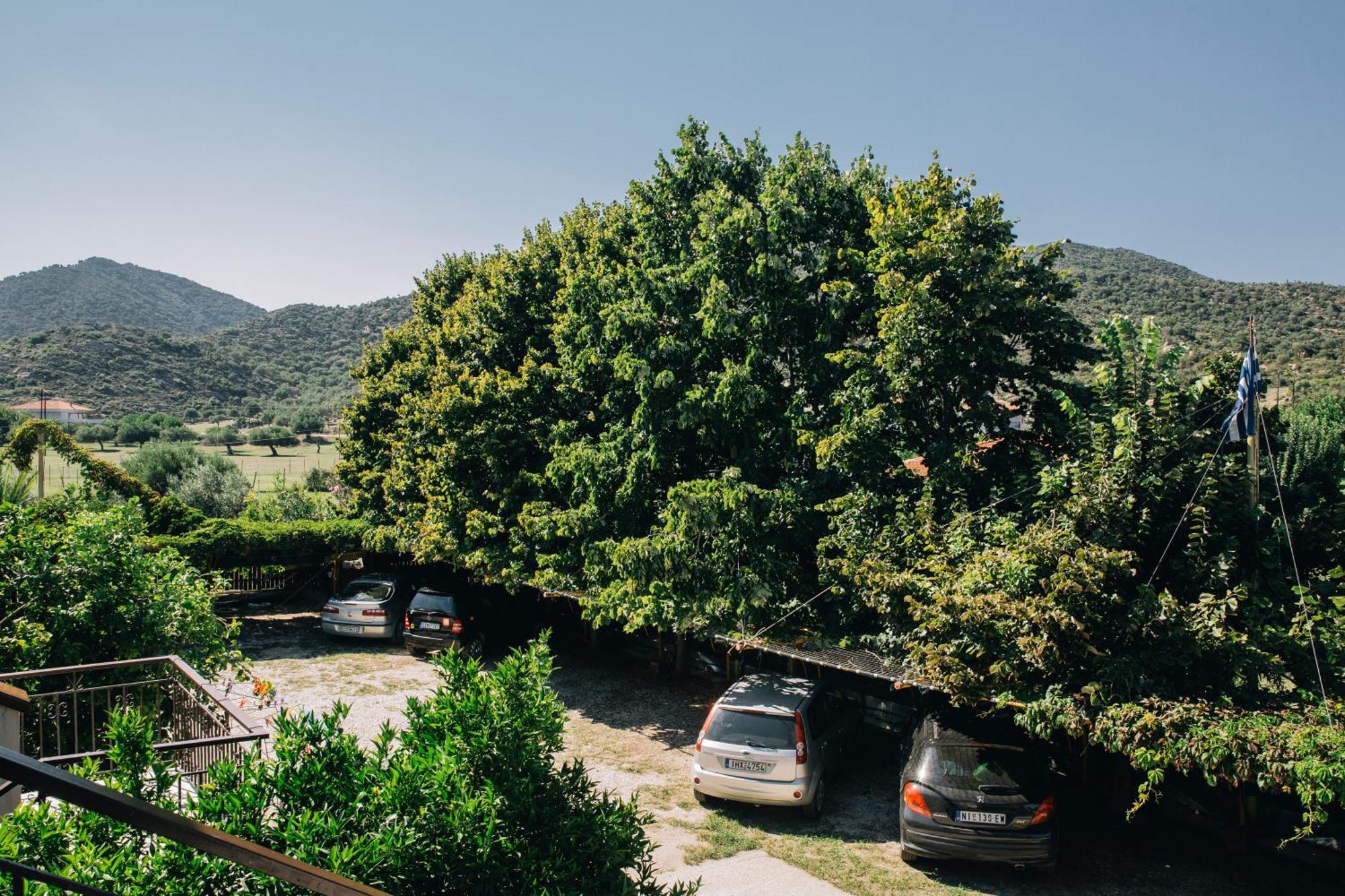 Katia Studios Sykia Chalkidikis Buitenkant foto